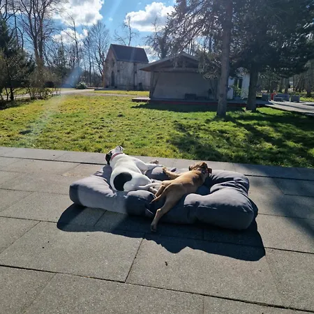 La Chapelle Du Coteau * Nomexy