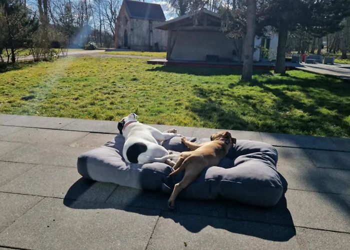 La Chapelle Du Coteau * Nomexy